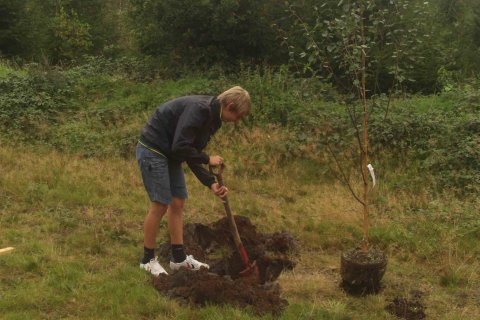 Morten Carstensen planter træ